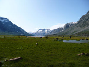 Groenland groen